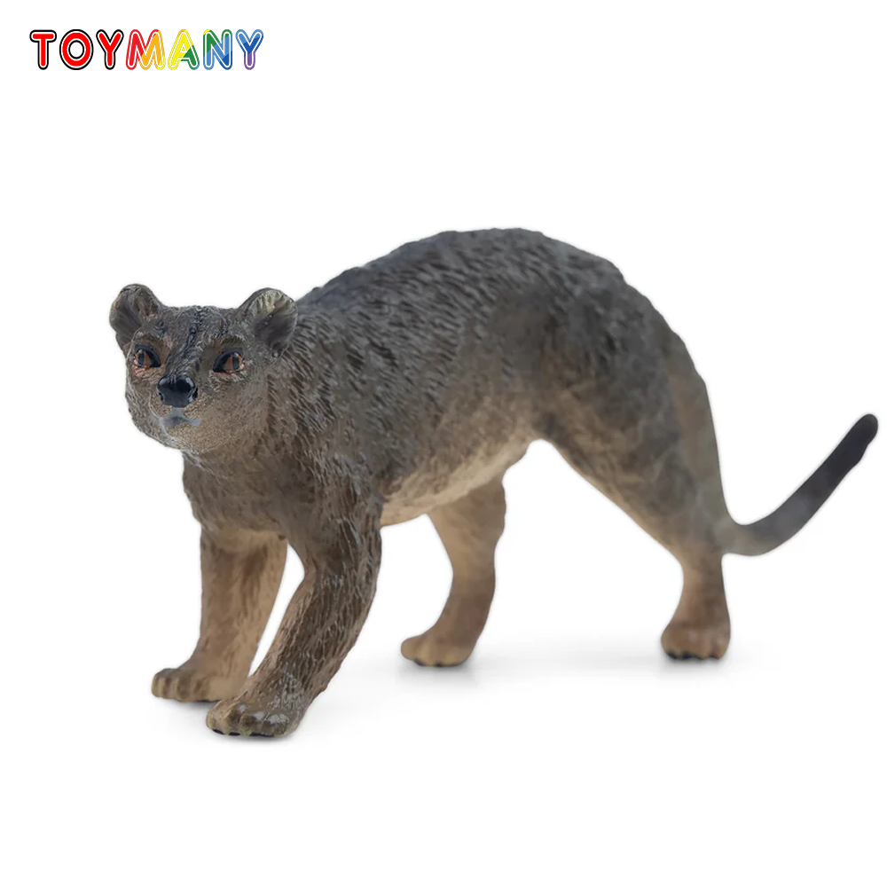 Kids Toys Under $5 - Toymany محاكاة فوسا مدغشقر نماذج للحيوانات