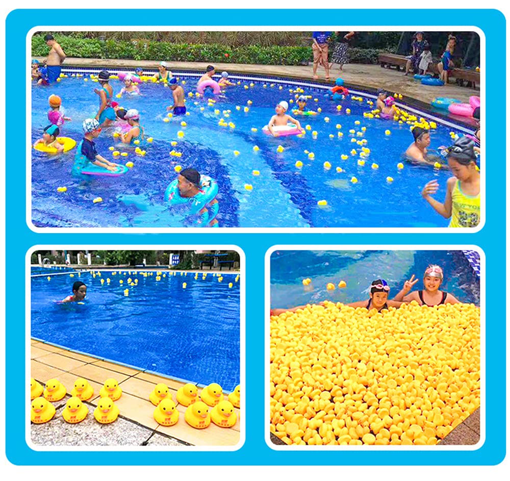 Yellow Rubber Ducks, Preschool - مراجعة Rubber Duck Bath وسعره